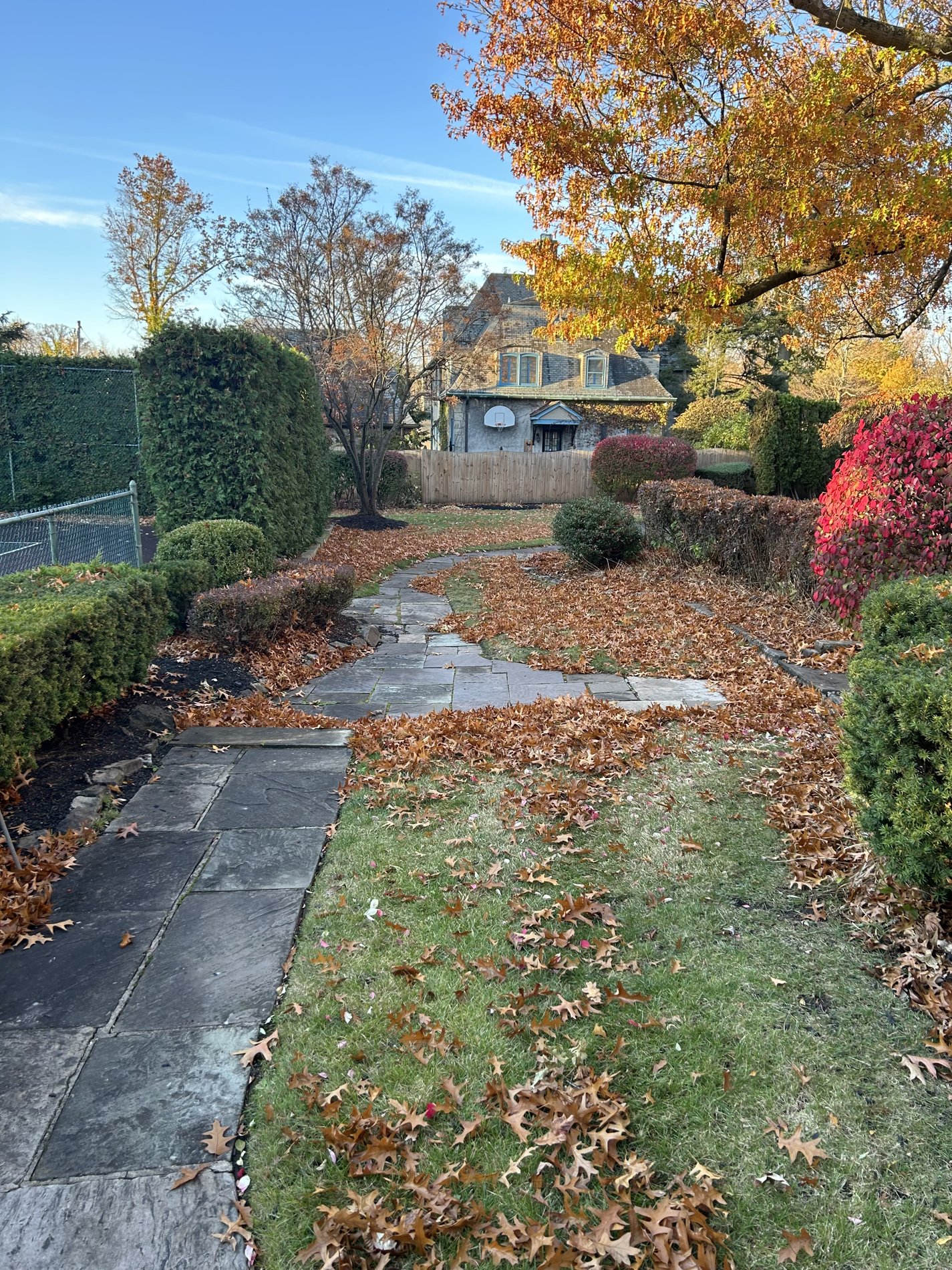 Before: leaves covering the same lawn and walkway