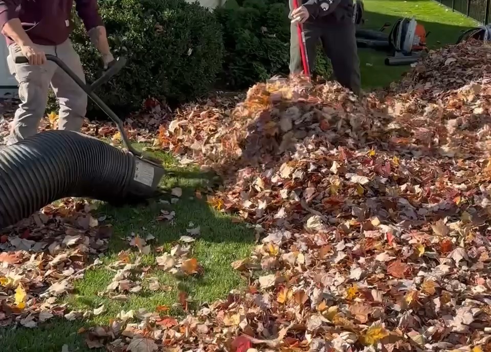 WNY Services crew collecting fallen leaves with the leaf-vac hose