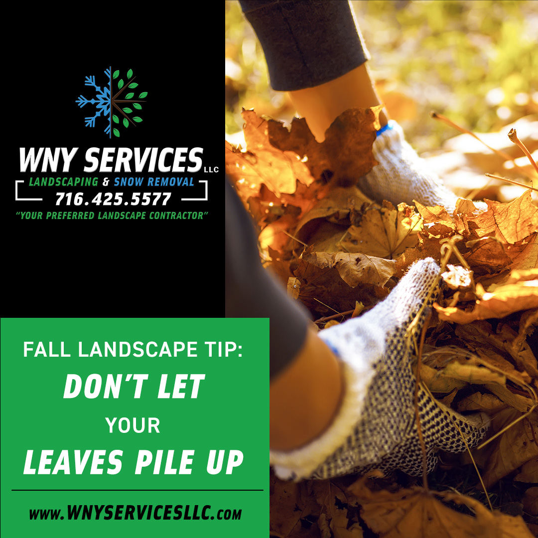 You are currently viewing Fall Landscaping Tip: Don’t Let Leaves Pile Up