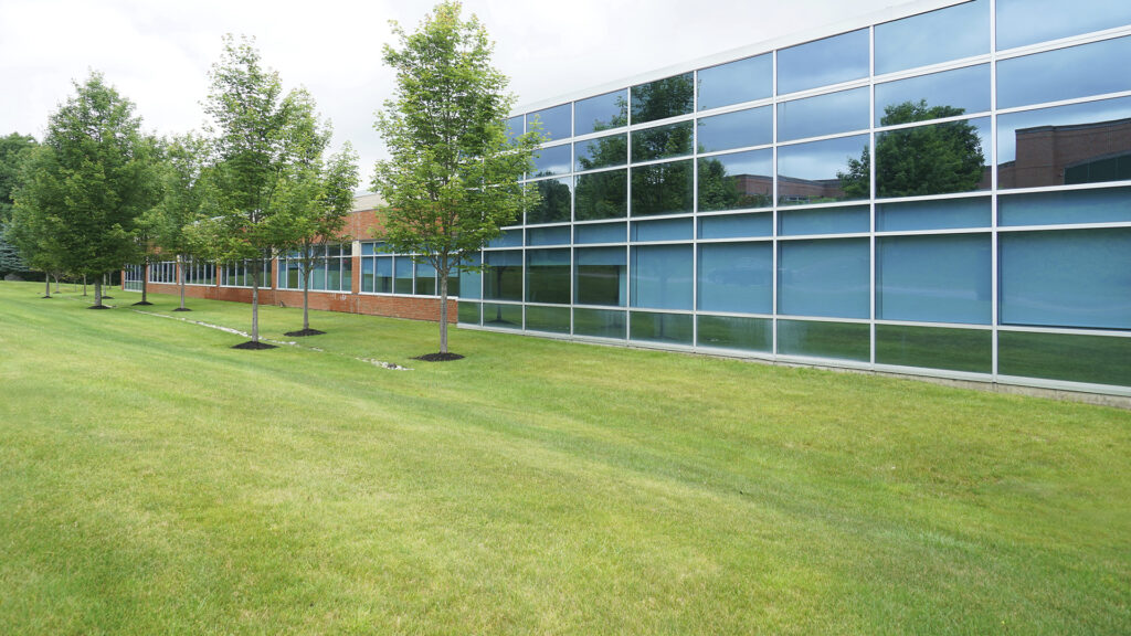 WNY Services LLC provides commercial lawn maintenance.