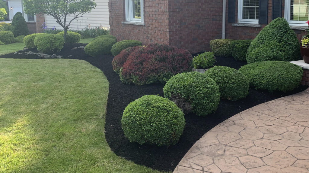WNY Services LLC offers residential and commercial landscape bed maintenance, mulch treatment, and more throughout WNY.