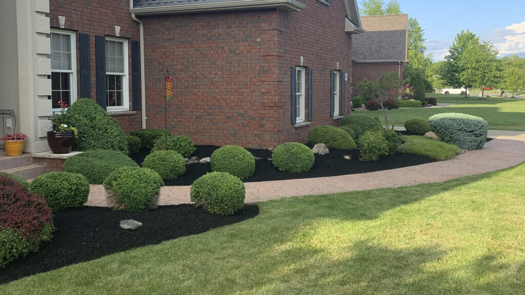 WNY Services LLC offers residential and commercial trimming and pruning in Clarence, NY.