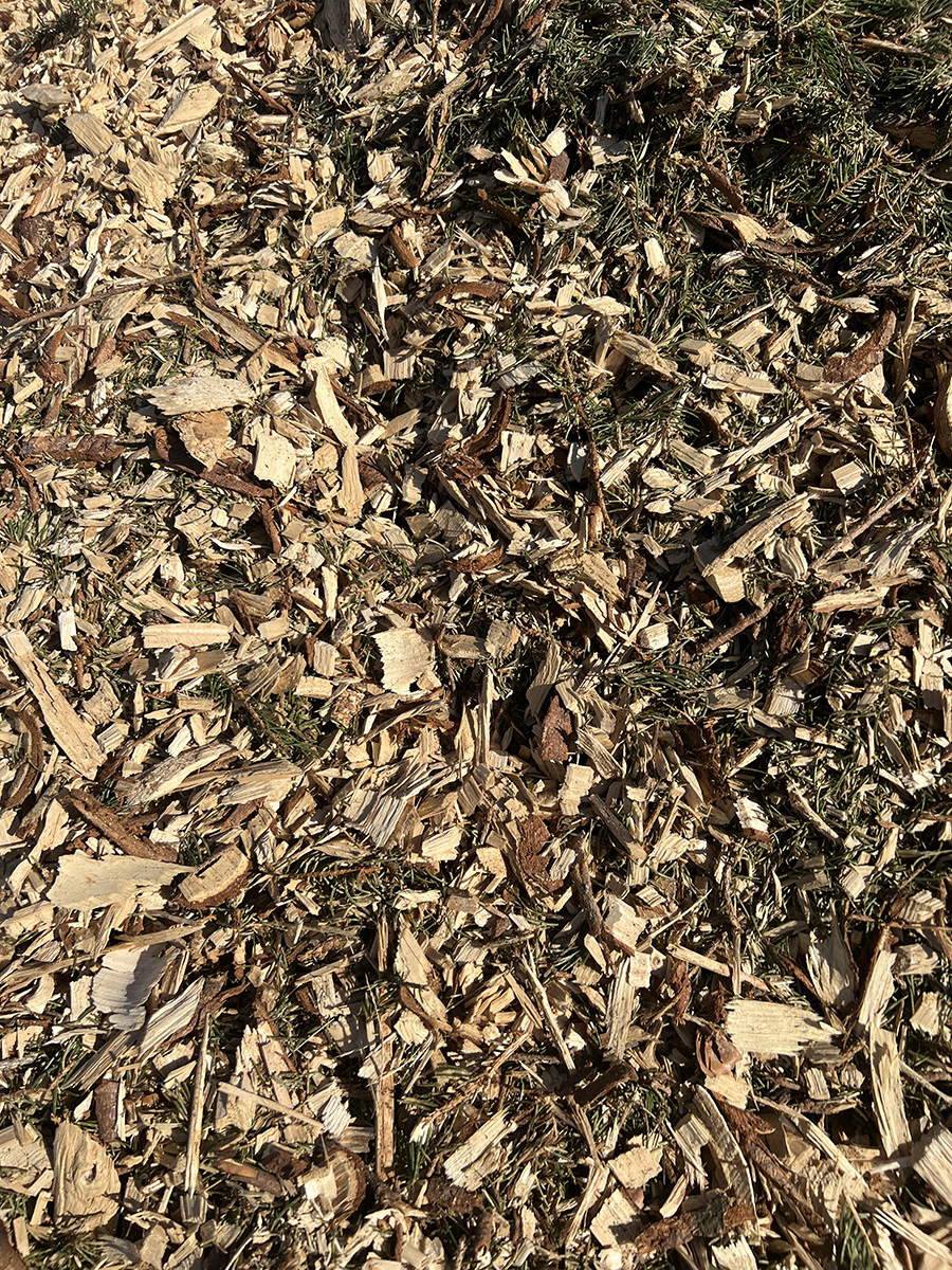 All-natural Wood Chips – See Clear Tree