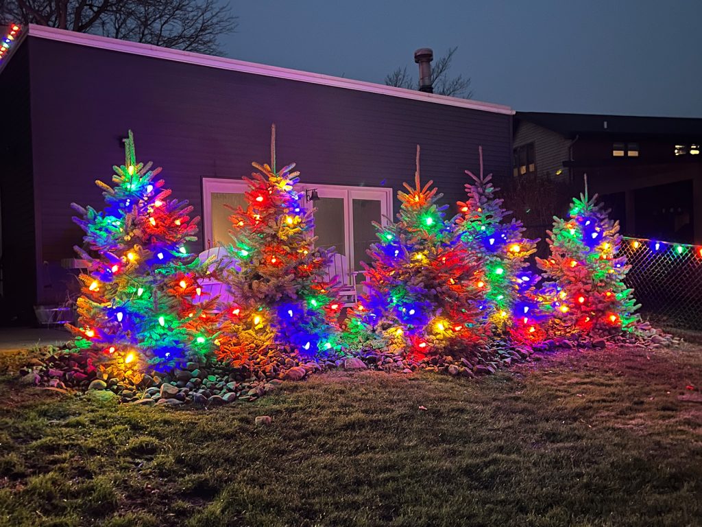 Get professional holiday light installation from WNY Services LLC.