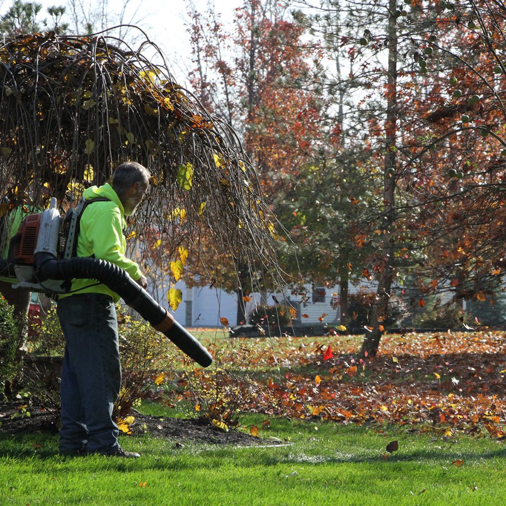 Our team of seasoned professionals is ready to provide top-notch leaf removal and fall clean-up services for your home or business.