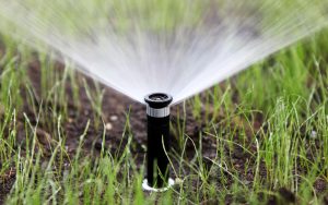 Read more about the article How A Water Irrigation System Benefits Your Garden