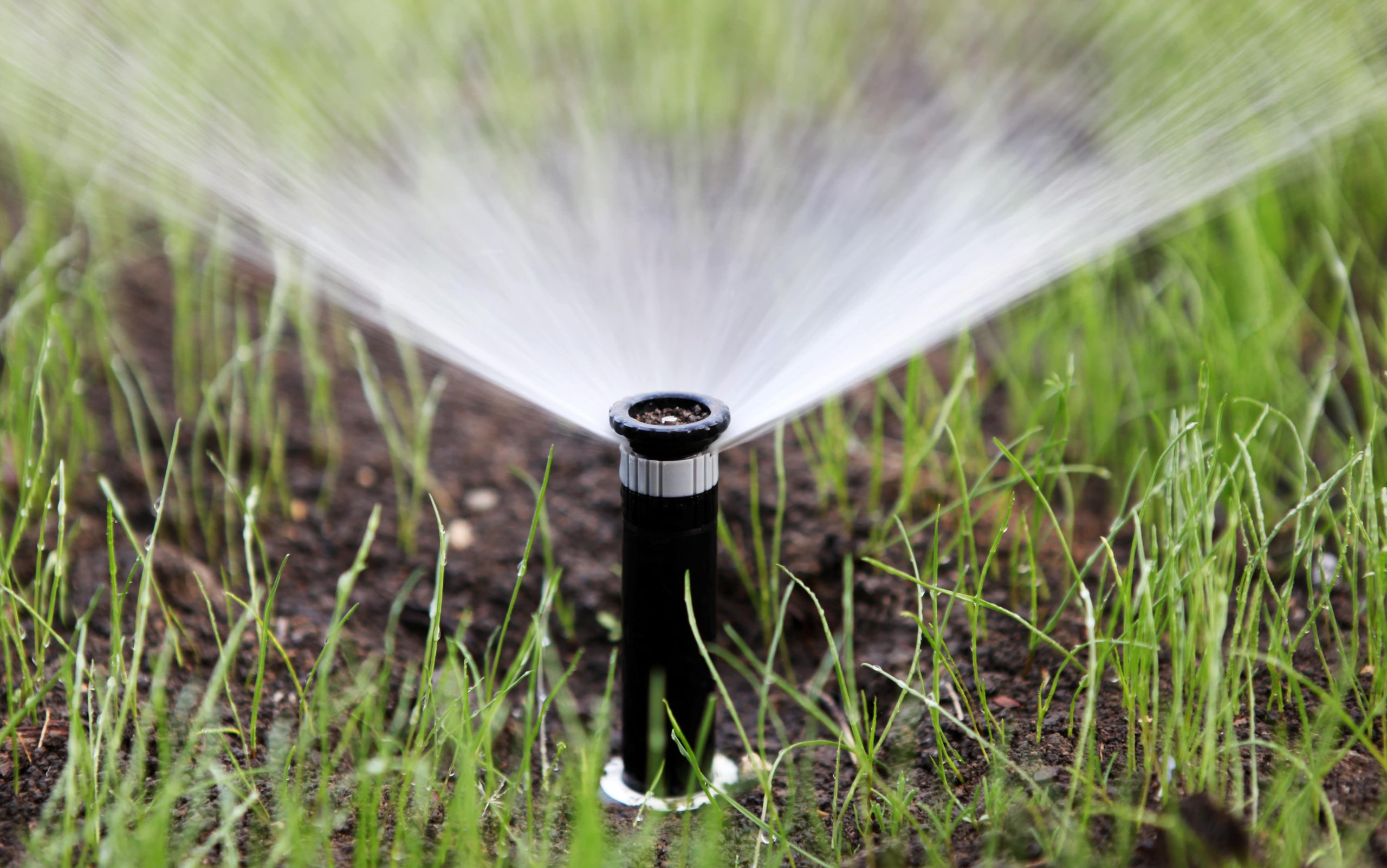 Read more about the article How A Water Irrigation System Benefits Your Garden