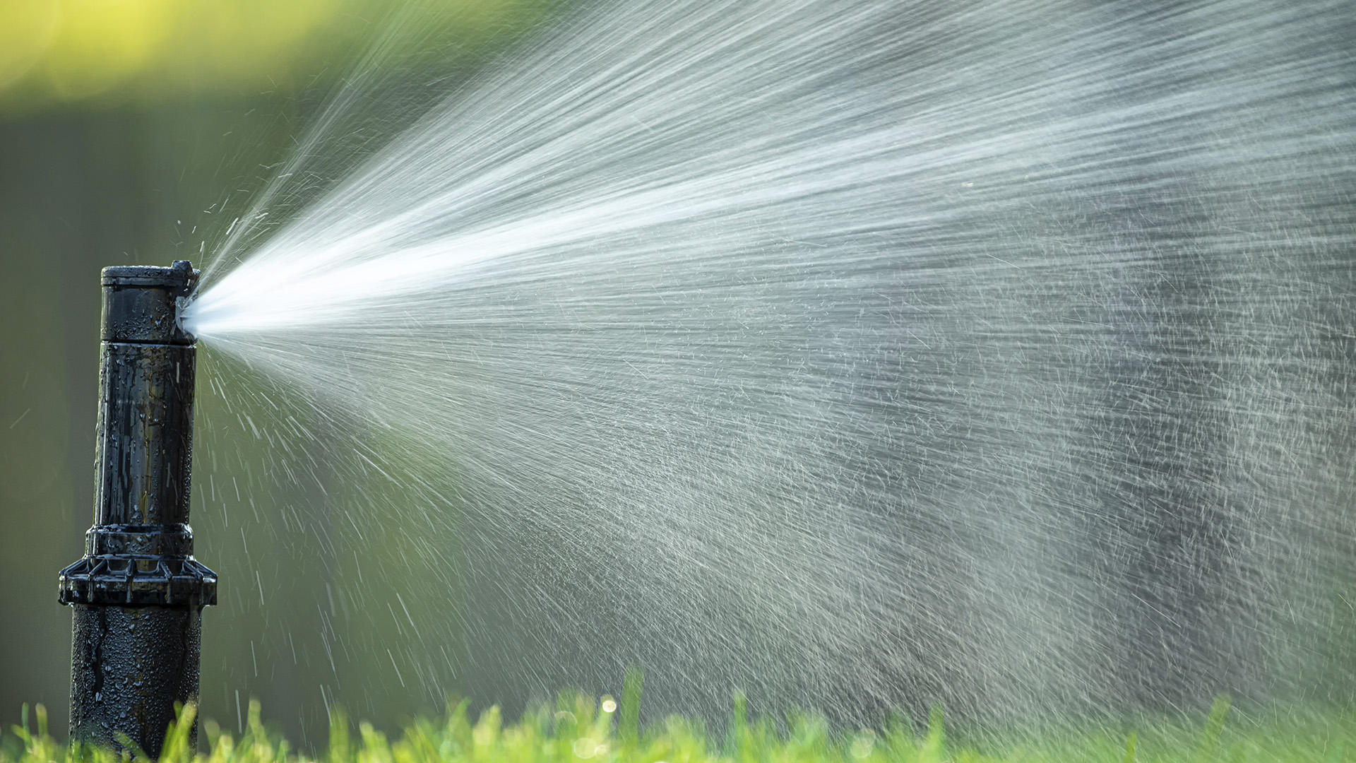 WNY Services Irrigation Division: Transform your yard with a water irrigation system.